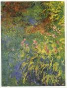 Claude Monet Irises, 1914-17 USA oil painting reproduction